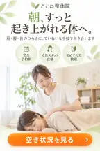 整体院の見本